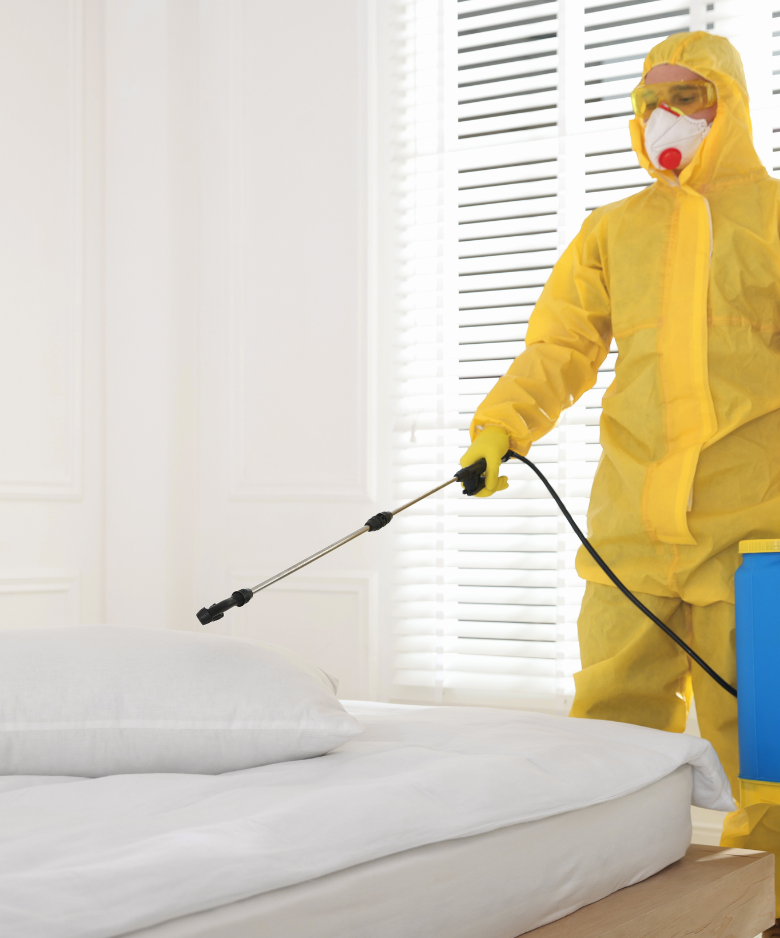 Professional Pest Control Team in Bolivar